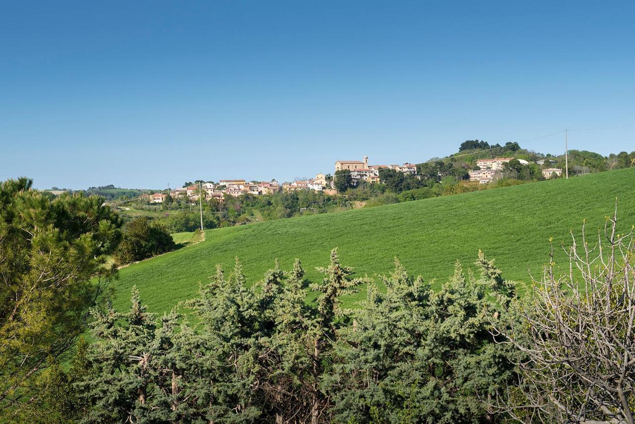 A11 - Varano, Delizioso Trilocale Con Giardino Ancona Exteriér fotografie
