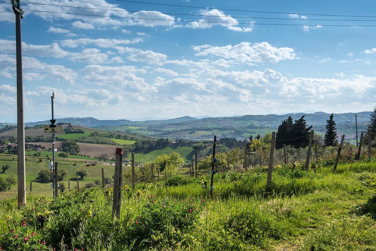A11 - Varano, Delizioso Trilocale Con Giardino Ancona Exteriér fotografie