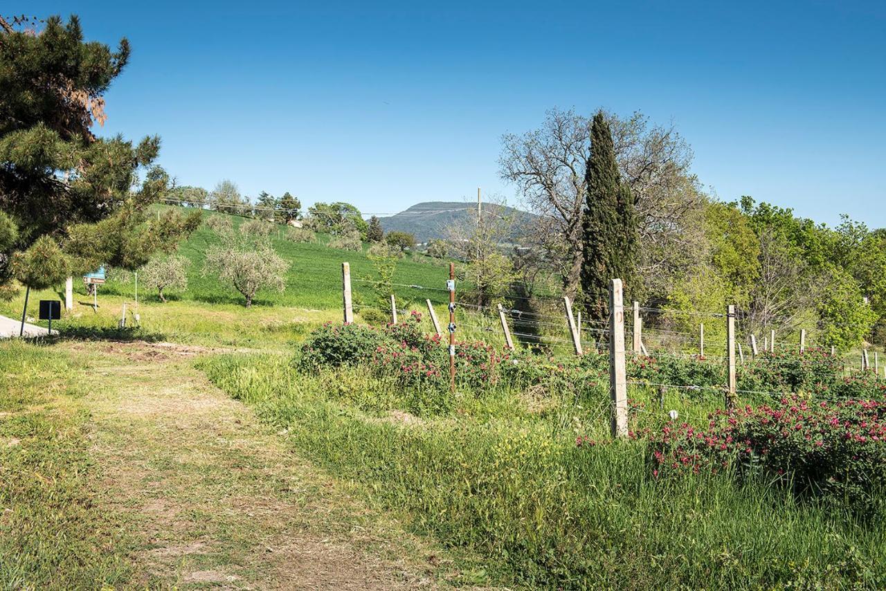 A11 - Varano, Delizioso Trilocale Con Giardino Ancona Exteriér fotografie